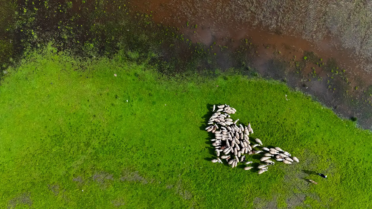 Denizli Yayla Gölü Doğal Yapısıyla Dikkat Çekiyor 6