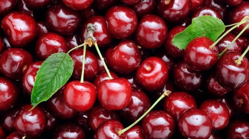 Gece Tüketilen Kiraz Uyku Kalitesini Destekleyebilir