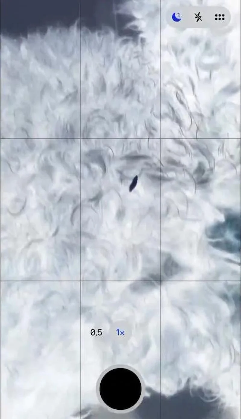 Iphone Ayarıyla Evcil Hayvanlarda Pire Tespiti