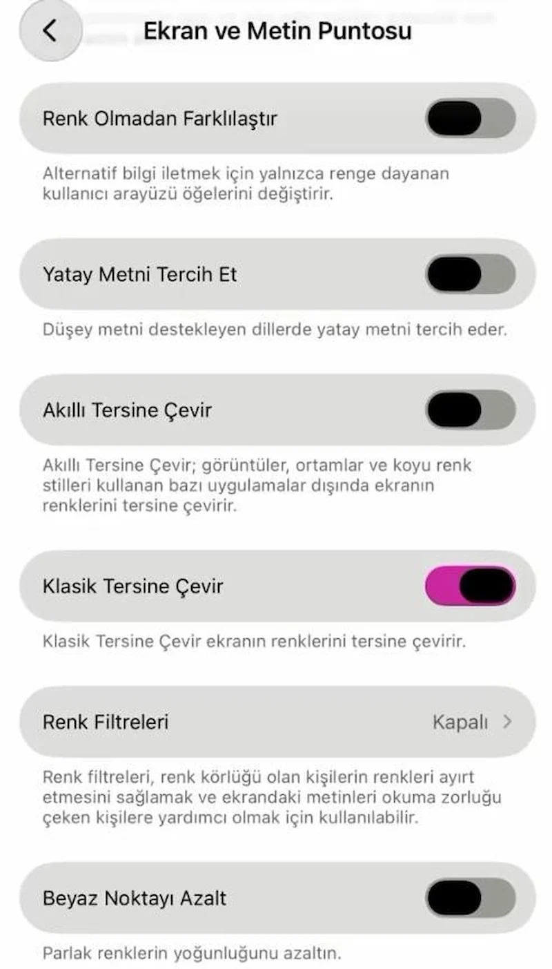 Iphone Ayarıyla Evcil Hayvanlarda Pire Tespiti2