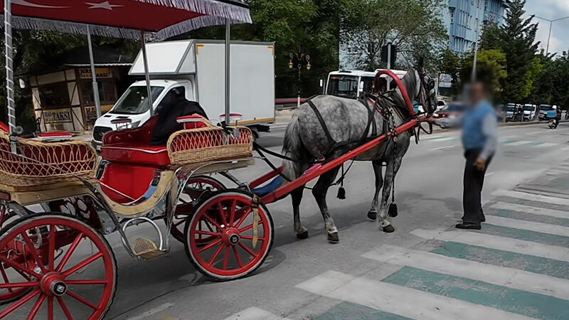 Kütahya Da Fayton Atı Trafiği Birbirine Kattı (5)
