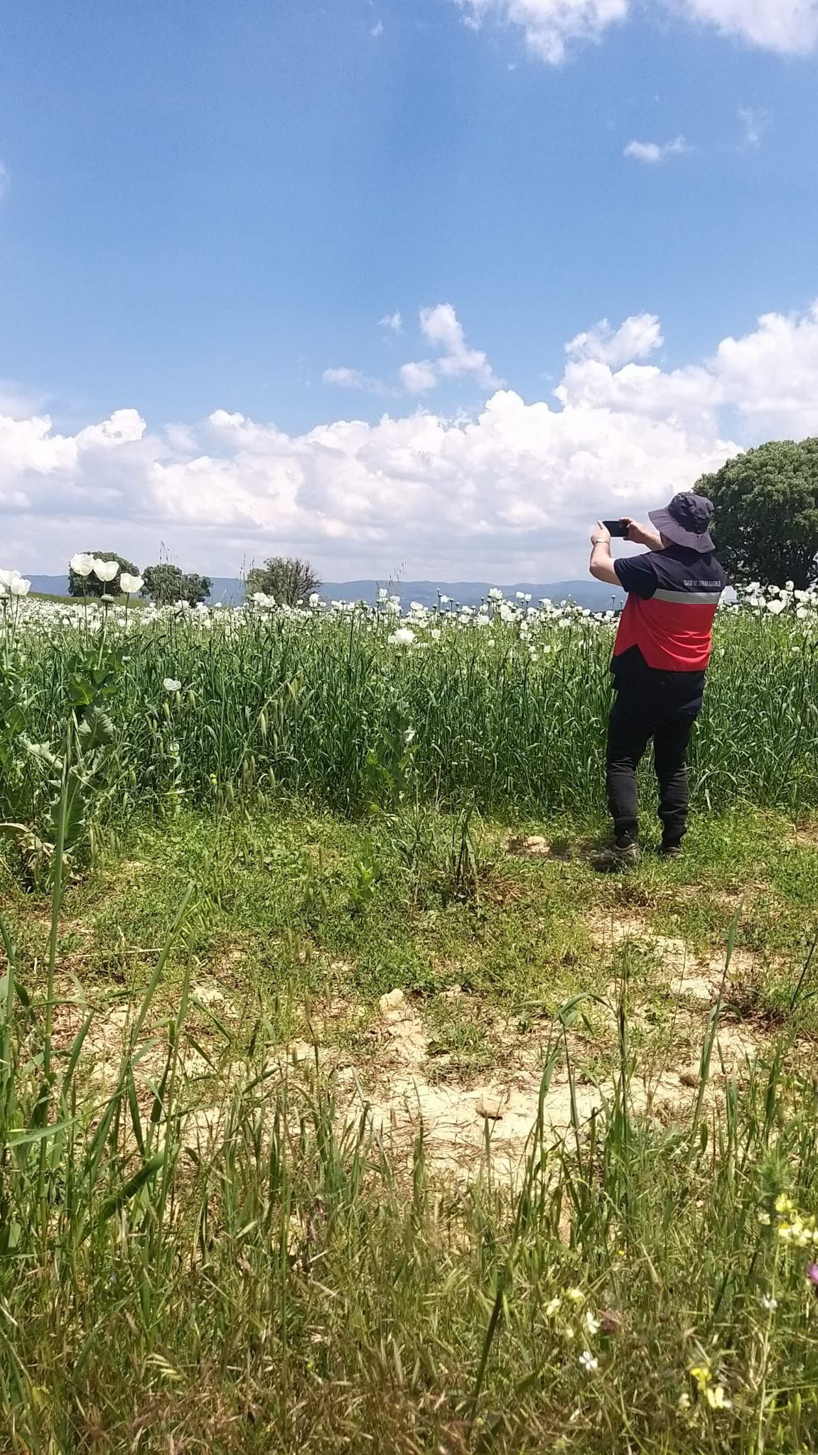 Kütahya Gediz'de Referans Parsel Çalışmaları Yapıldı1