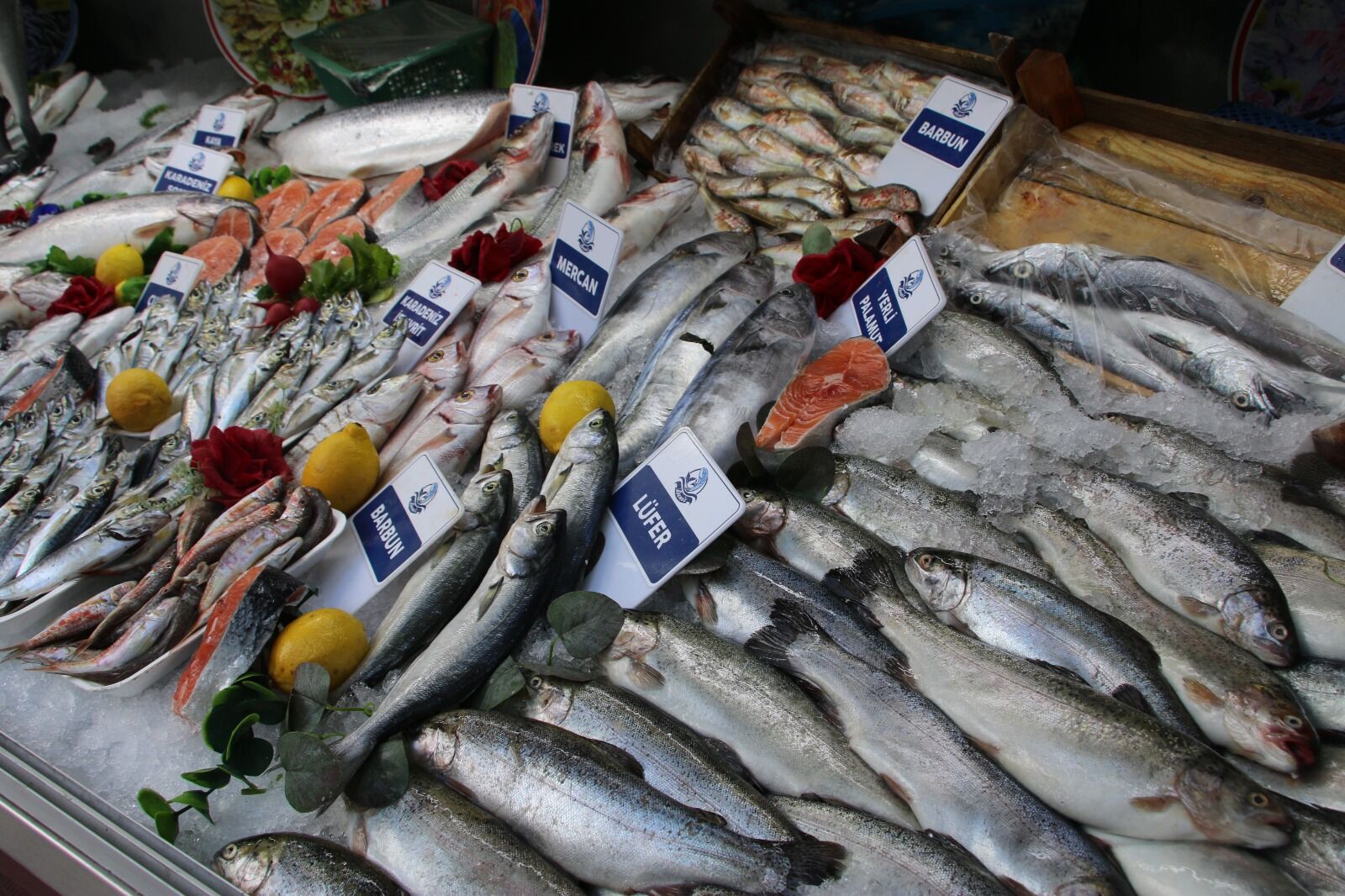 Kütahya’da Balık Tezgahları Küçük Balıklarla Çeşitlendi (5)