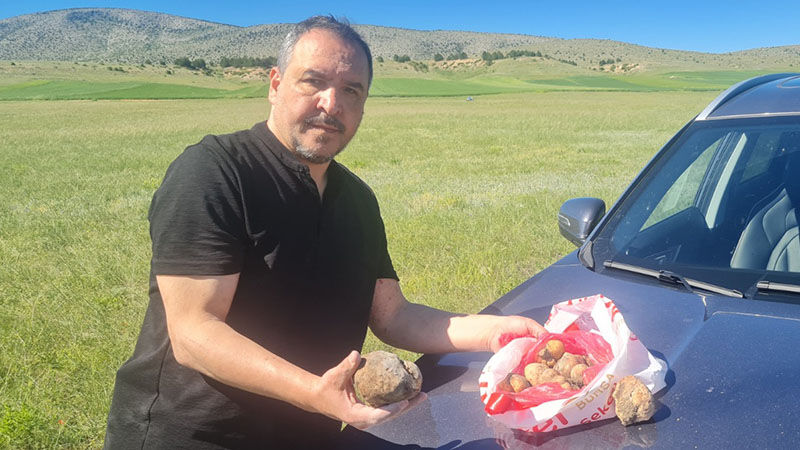 Kütahya'da Domalan Mantarları Toprak Altından Çıkarılıyor (5)