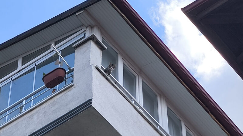 Kütahya’da Itfaiyeden Çatıda Mahsur Kalan Kedi Operasyonu (1)