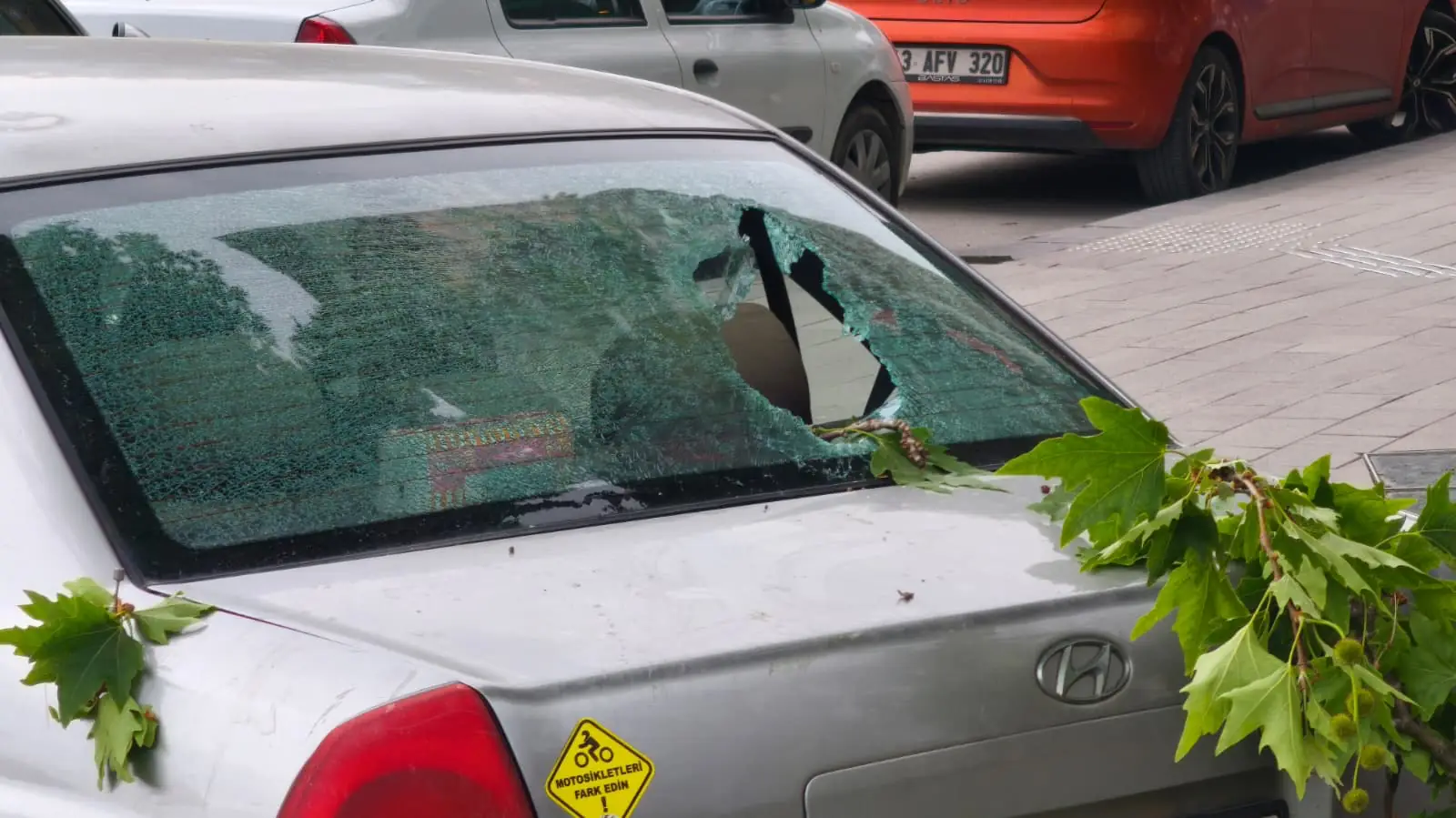 Kütahya’da Park Halindeki Otomobile Ağaç Parçası Düştü1