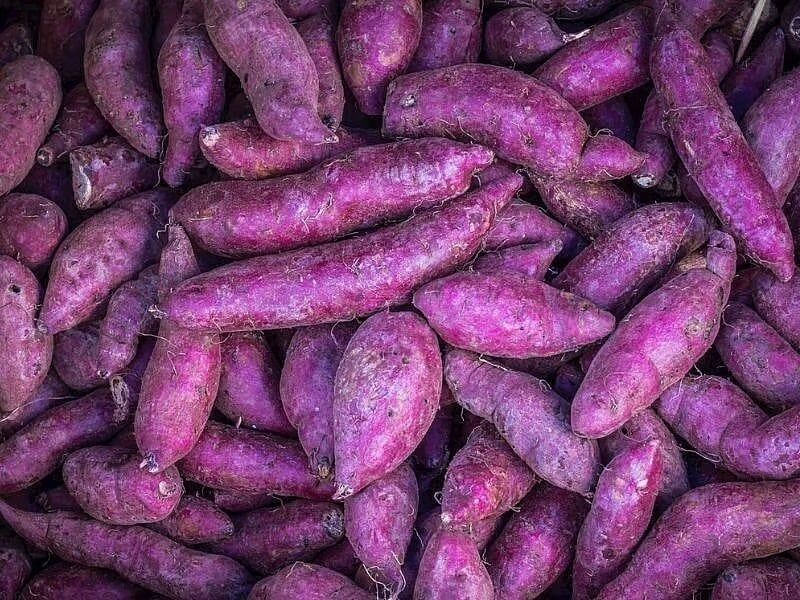Matcha Gitti, Yerine “Ube” Geldi Mor Renkli Yeni Trend Yükseliyor