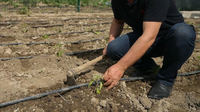 Tarım Arazilerinde Hobi Bahçelerine Yeni Kısıtlama1