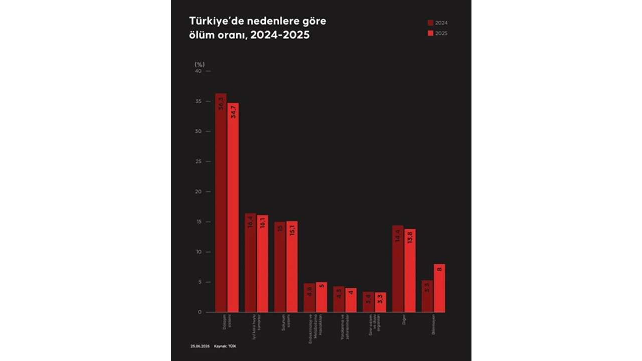 Türkiye'de Ölüme En Çok Neden Olan Hastalıklar Açıklandı1