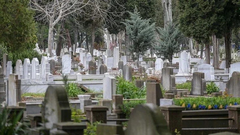 Türkiye'de Ölüme En Çok Neden Olan Hastalıklar Açıklandı2