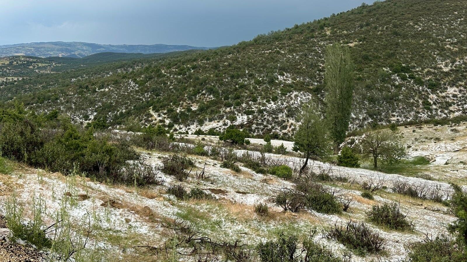 Uşak'ta Dolu Etkili Oldu (2)
