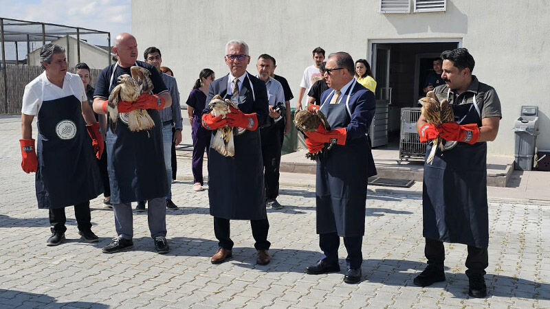 Afyonkarahisar'da Tedavisi Tamamlanan Yırtıcı Kuşlar Doğaya Bırakıldı 02