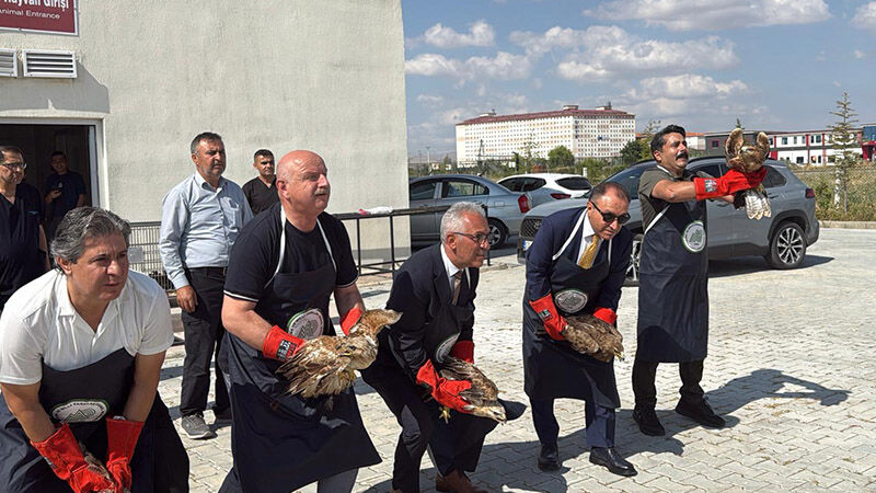 Afyonkarahisar'da Tedavisi Tamamlanan Yırtıcı Kuşlar Doğaya Bırakıldı