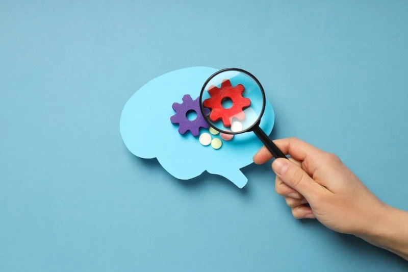 Alzheimer Hastasında Psilosibin Sonrası Değişim1