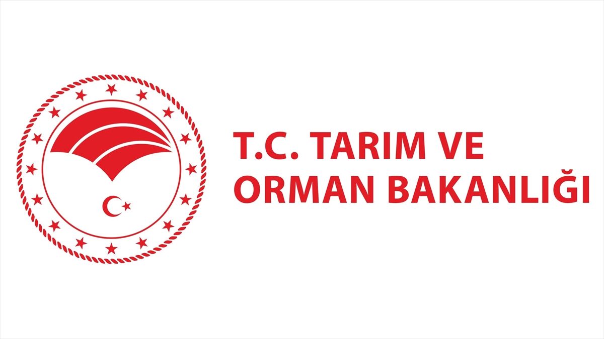Bakanlıktan Çekirge Istilası Iddialarına Açıklama