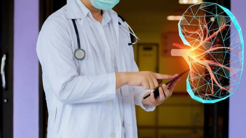 Bilim Insanları Böbrekte Gizli Mekanizma Buldu1