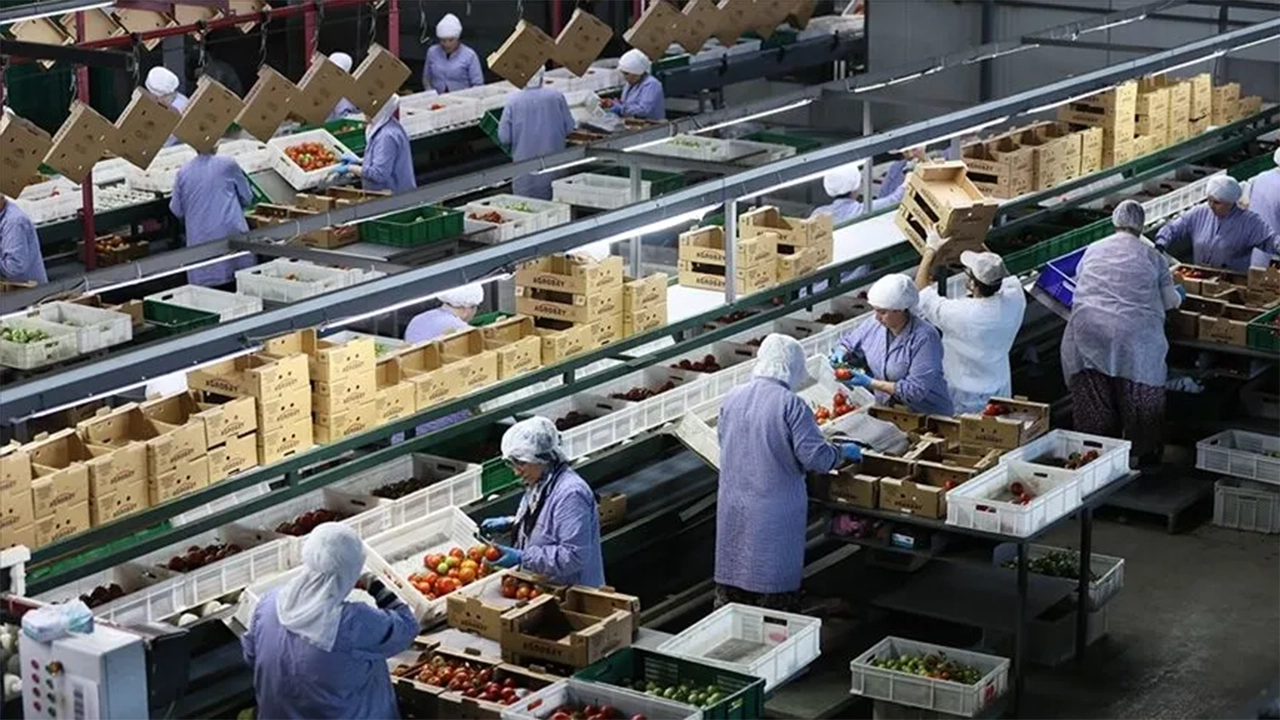 Ege'nin Yaş Meyve Ve Sebze Ihracatı 572 Milyon Dolara Ulaştı1