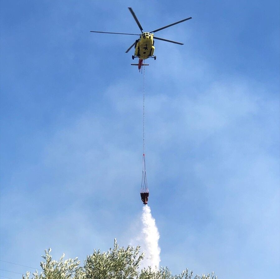 İzmir'de Tarım Arazisindeki Yangın Kontrol Altına Alındı (3)