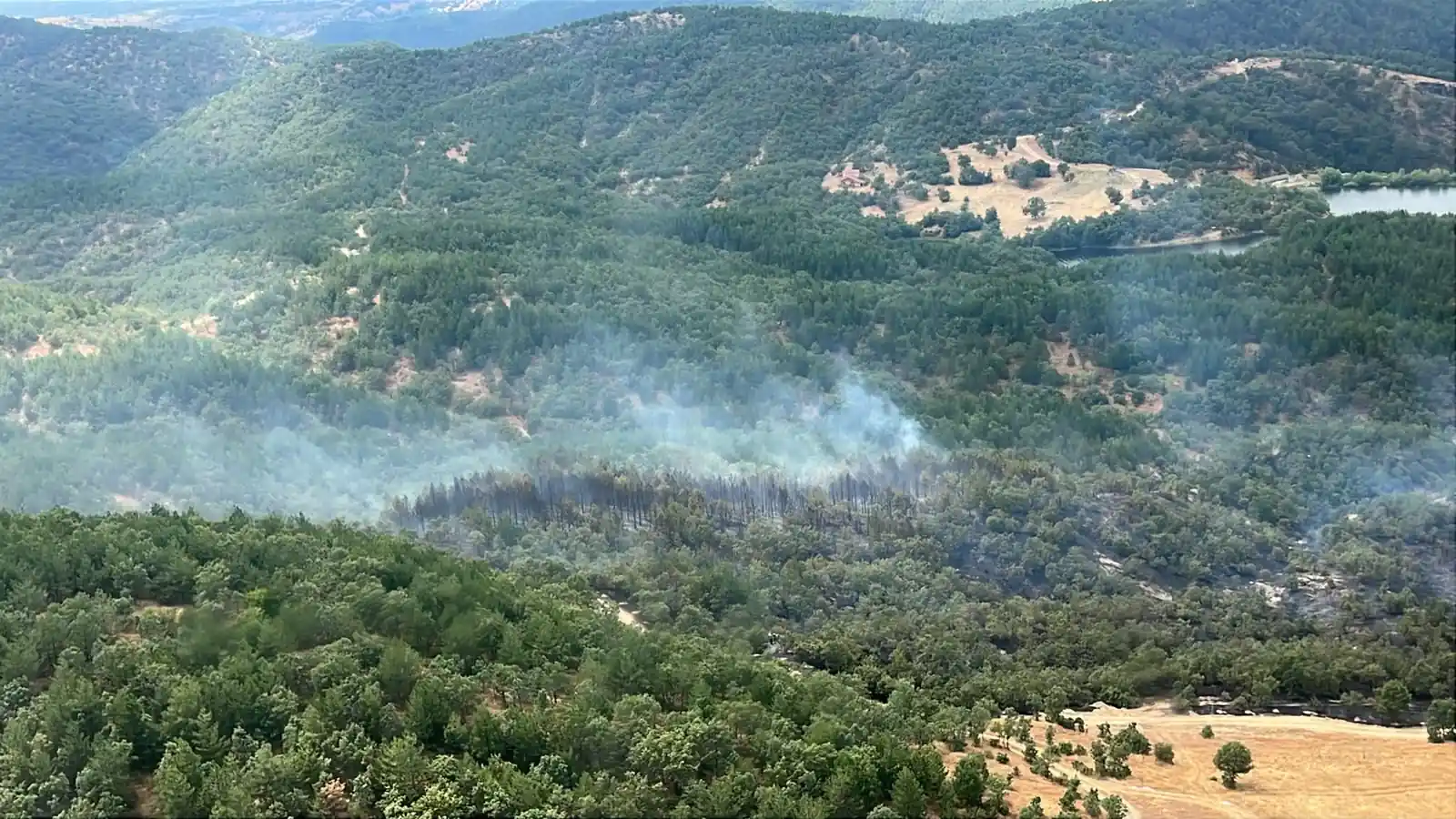 Kütahya Orman Yangını3