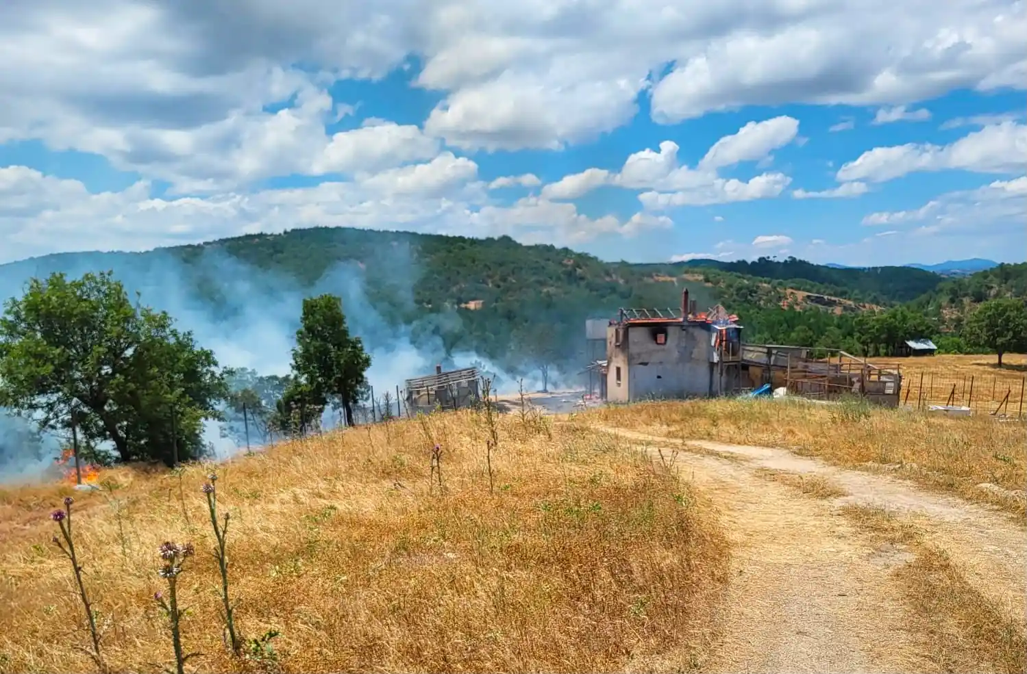 Kütahya Orman Yangını4