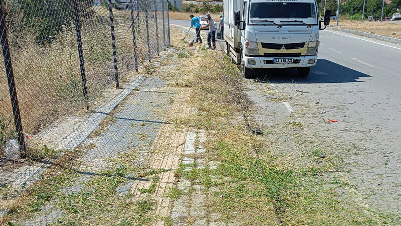 Kütahya Şehir Hastanesi Çevresinde Ot Biçme Çalışması Gerçekleştirildi (4)