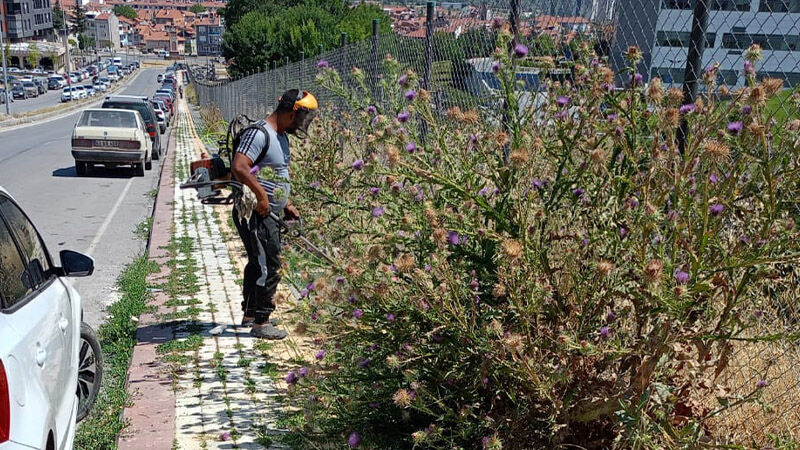 Kütahya Şehir Hastanesi Çevresinde Ot Biçme Çalışması Gerçekleştirildi (5)