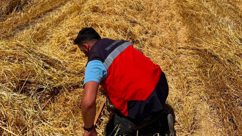 Kütahya'da Biçerdöver Hasat Kontrolleri Ilçelerde Aralıksız Sürüyor (3)