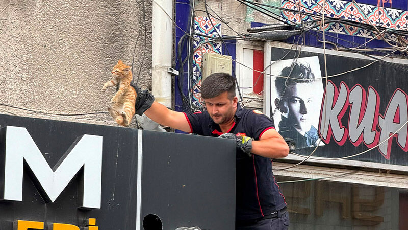 Kütahya'da Çatı Oluğuna Sıkışan Kedi Kurtarıldı (4)