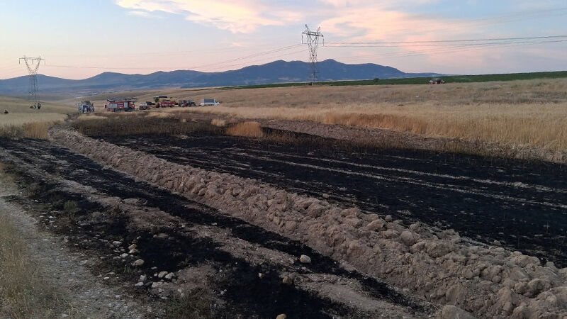 Kütahya'da Ekin Yangını Erken Müdahaleyle Söndürüldü (2)