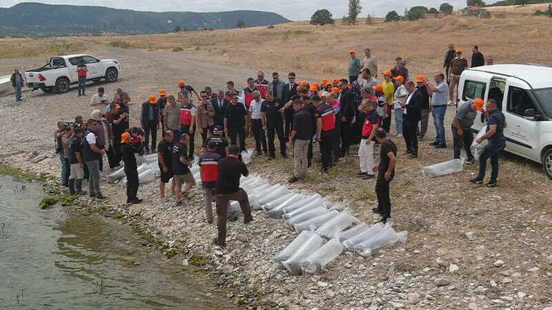 Kütahya’da Iç Su Kaynakları Balıklandırılıyor (7)