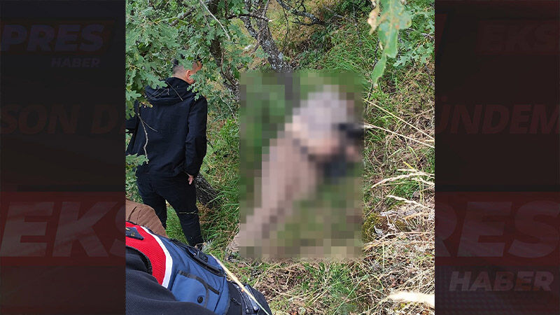Kütahya'da Kayalıklardan Düşen Sağlık Teknikeri Öldü 000