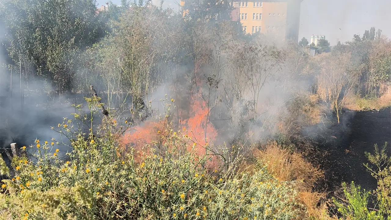 Kütahya'da Tarlada Çıkan Yangın Söndürüldü3