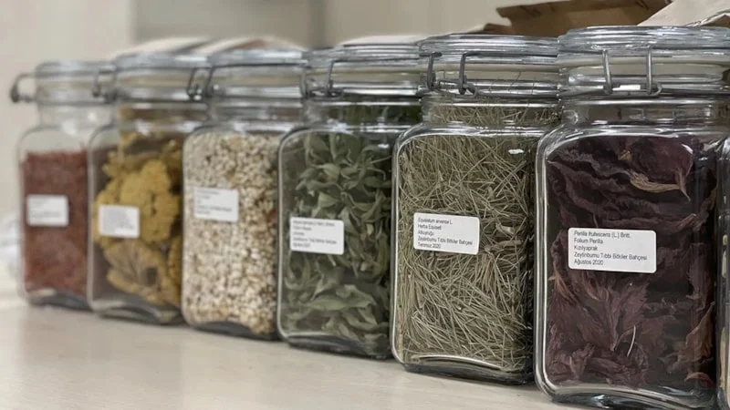Tıbbi Bitki Çayları Artık Sadece Eczanede Satılacak