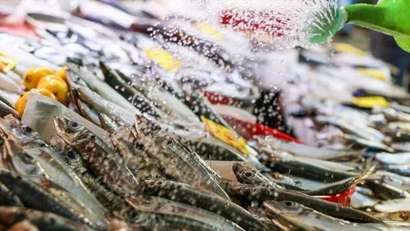 Su ürünleri ihracatı 9 ayda 1,8 Milyar Dolara ulaştı