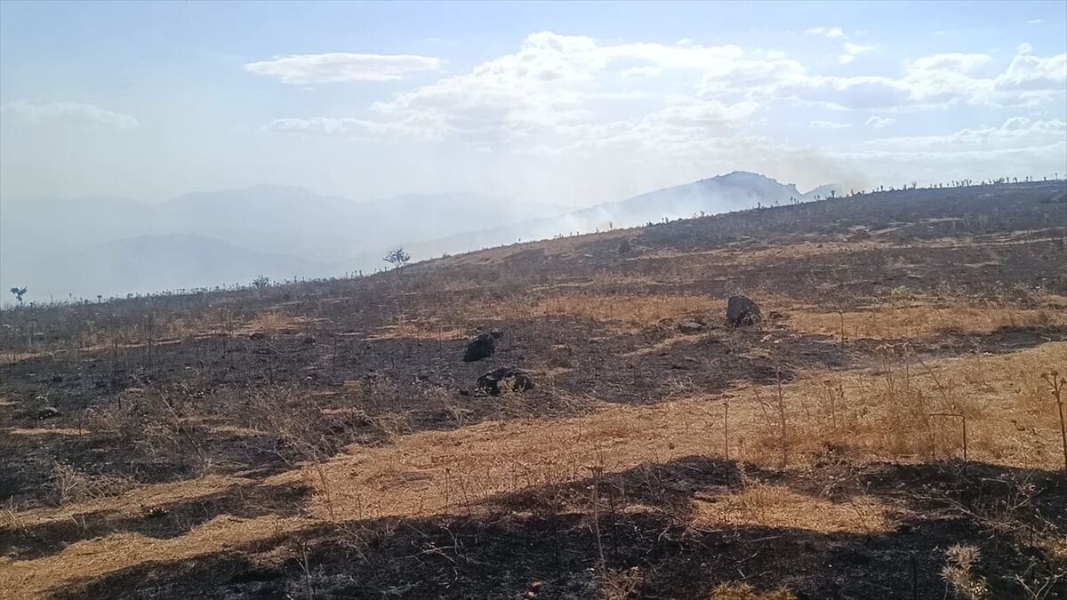 Afyonkarahisar’da 80 Hektarlık Alan Zarar Gördü (2)