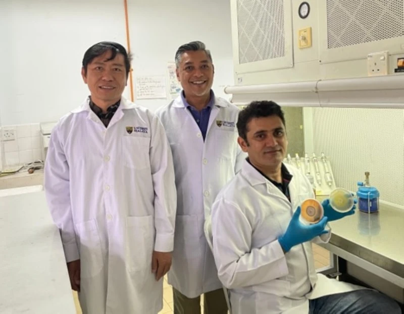 Antarktika Mantarları Alzheimer Araştırmalarına Umut Oldu