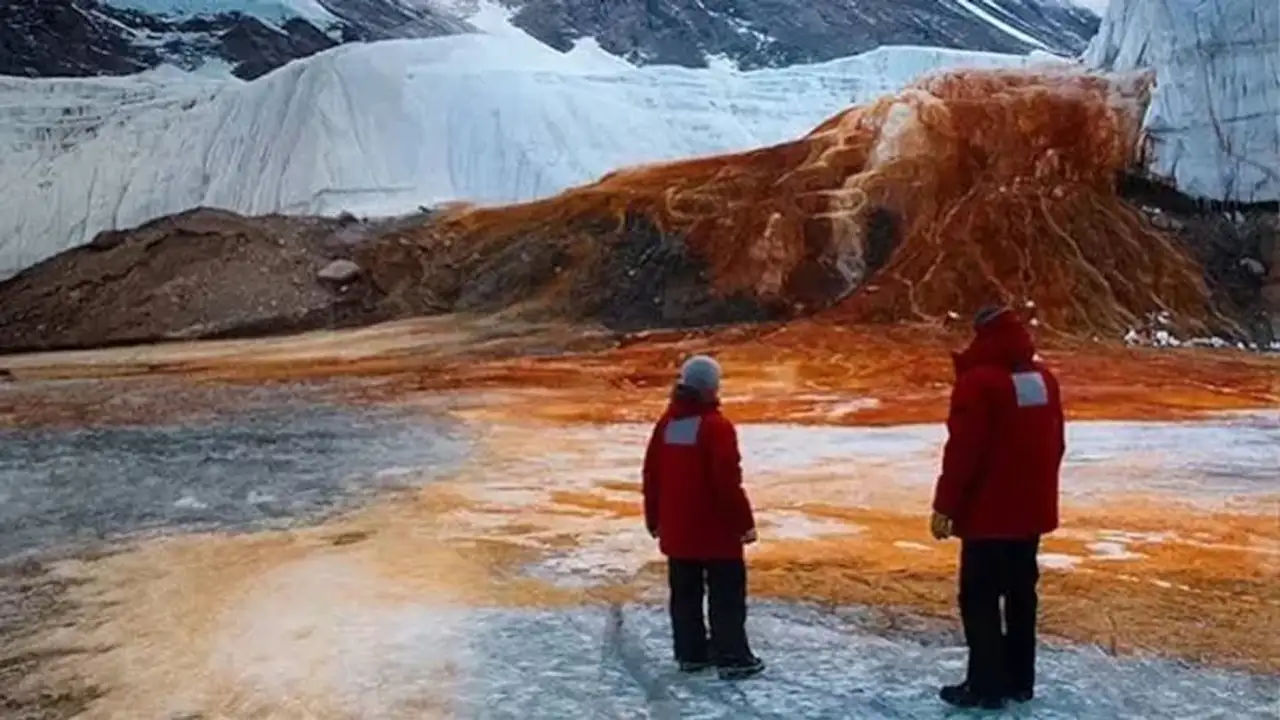 Antarktika'daki Kan Şelalesi'nin Kırmızı Renginin Sırrı Çözüldü. Bölgede Daha Önce Bilinmeyen Karmaşık Mikroorganizmalar Da Keşfedild1I