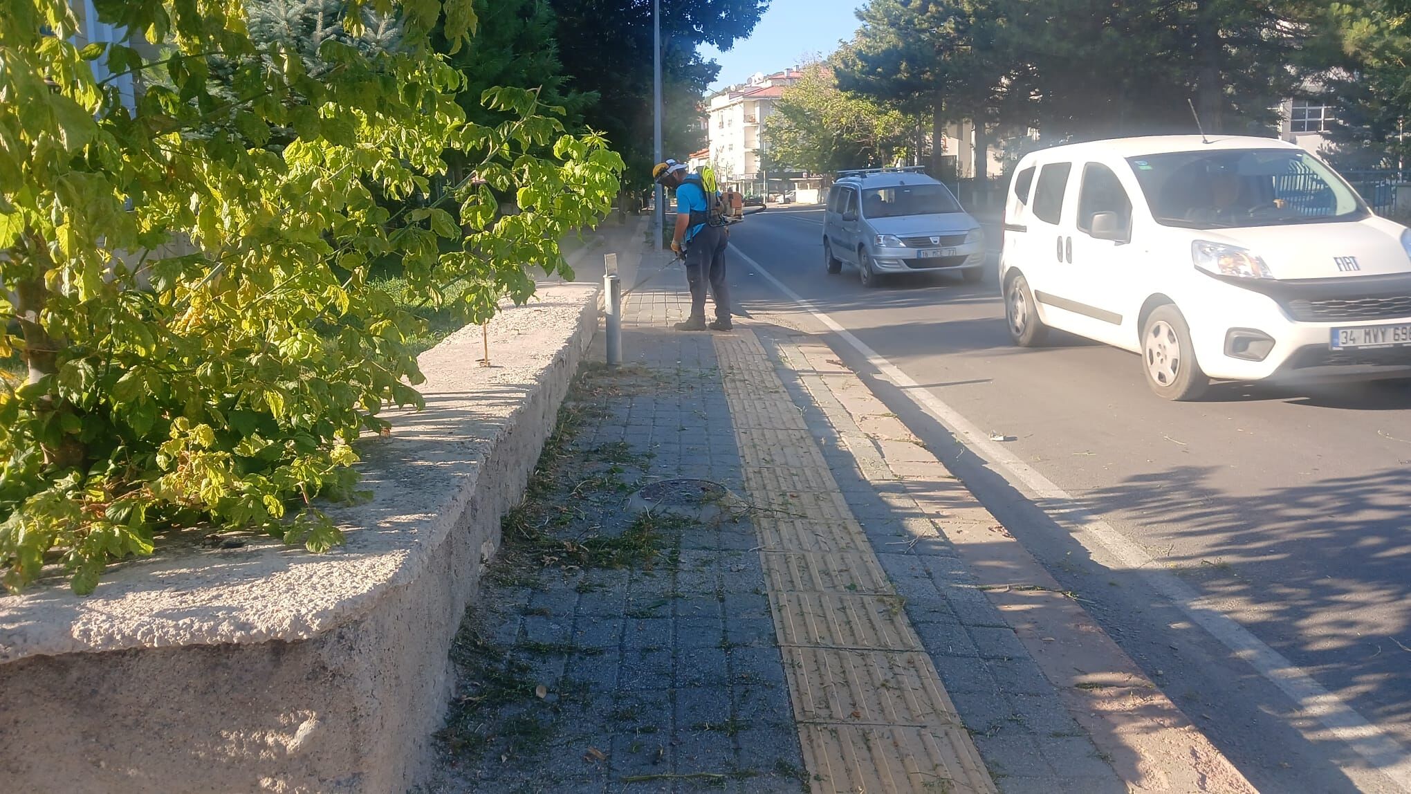 Fevzi Çakmak Caddesi’nde Ot Biçimi Ve Temizlik Mesaisi (3)