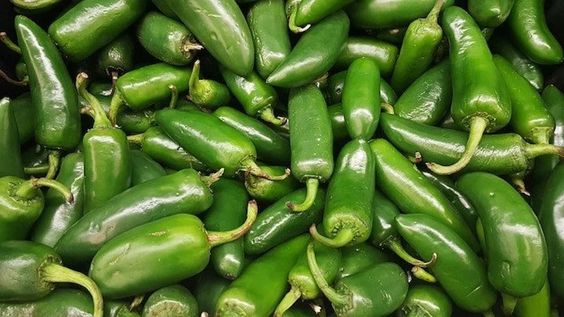 Jalapeno Salgını Başladı Menülerden Kaldırılıyor (2)