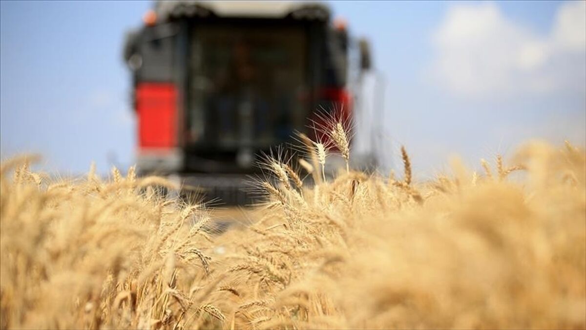 Küresel Gıda Fiyatları Son 2,5 Yılın Zirvesine Çıktı (1)