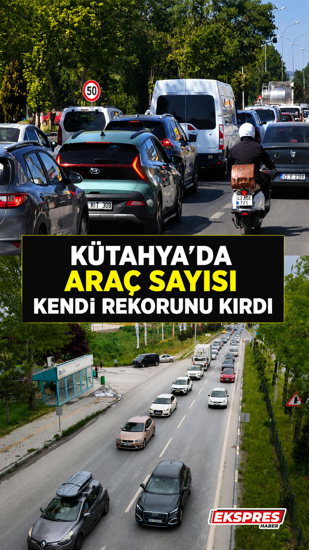 Yaşam