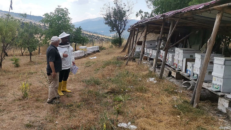 Kütahya’da Arıcılık Faaliyetlerine Yönelik Çalışmalar Sürüyor (1)