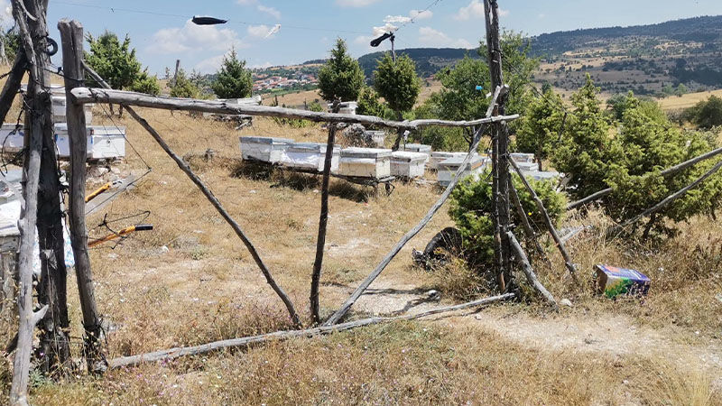 Kütahya’da Arıcılık Faaliyetlerine Yönelik Çalışmalar Sürüyor (2)