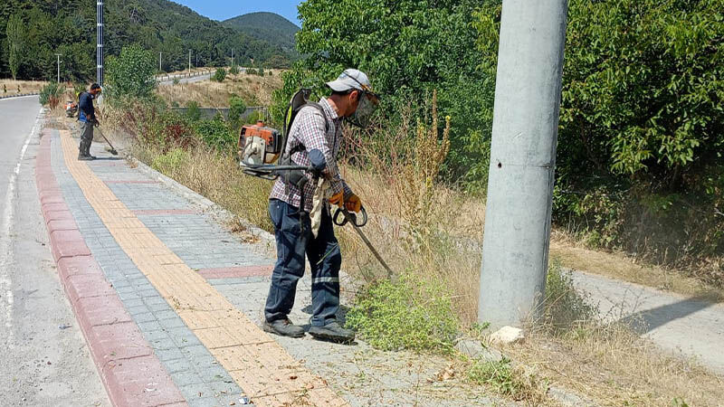 Kütahya’da Çamlıca Tabiat Parkı Yolunda Ot Biçimi Ve Temizlik Çalışması (3)-1