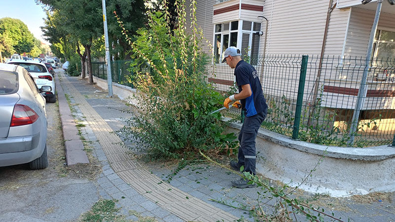 Kütahya’da Cumhuriyet Mahallesi’nde Ot Biçimi Ve Temizlik Çalışması (1)