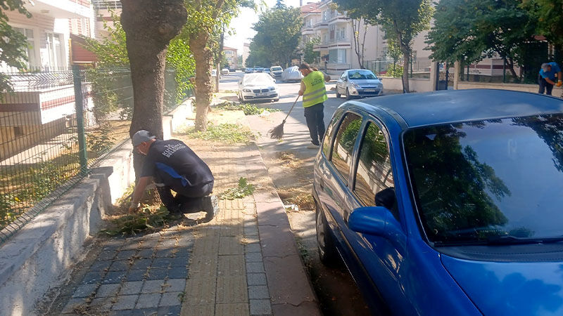 Kütahya’da Cumhuriyet Mahallesi’nde Ot Biçimi Ve Temizlik Çalışması (3)