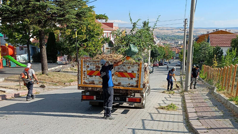 Kütahya’da Evliya Çelebi Mahallesi’nde Ot Temizliği (1)