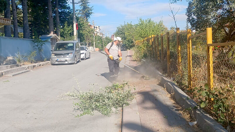 Kütahya’da Evliya Çelebi Mahallesi’nde Ot Temizliği (3)
