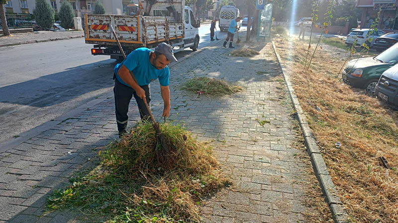 Kütahya’da Fatih Mahallesi’nde Ot Temizliği Yapıldı (4)