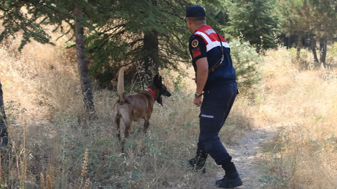 Kütahya’da Kadavra Arama Köpeği Ormanda Kayıp Genci Aradı6